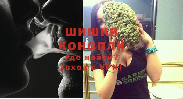мескалин Заводоуковск
