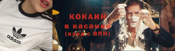 мескалин Заводоуковск