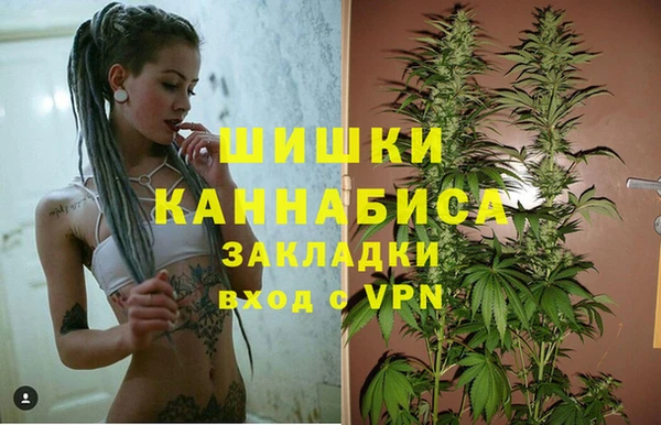 гидра Заволжье