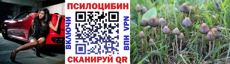 Купить закладки  Лабытнанги  Псилоцибиновые грибы GOLDEN TEACHER 